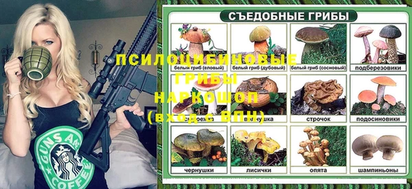 прущий лед Бородино