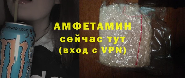 прущий лед Бородино