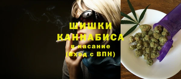 прущий лед Бородино