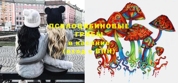 прущий лед Бородино